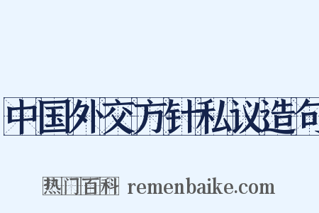 中国外交方针私议造句是什么意思的图片